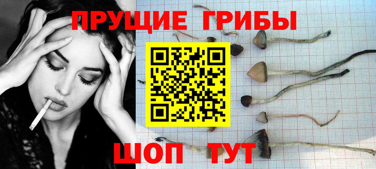 Галлюциногенные грибы мухоморы Усть-Илимск