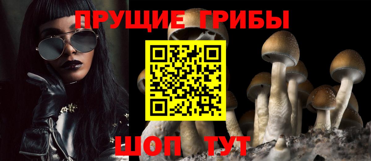 Усть-Илимск  Псилоцибиновые грибы Psilocybe  Вход с VPN 